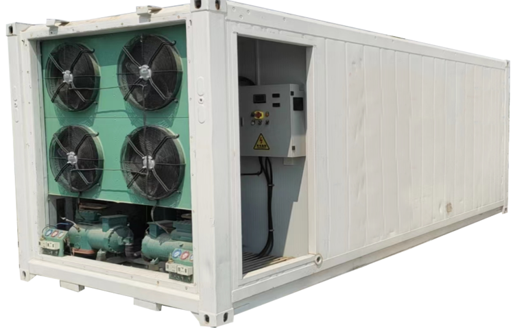 Package Copeland Scroll ZB Condensing Unit China